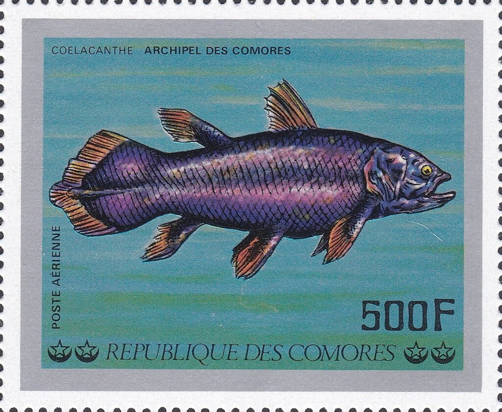 Stamp