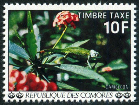 Stamp