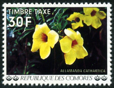 Stamp