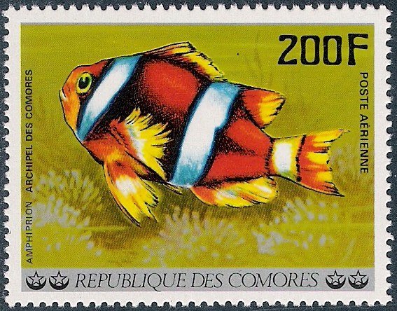 Stamp
