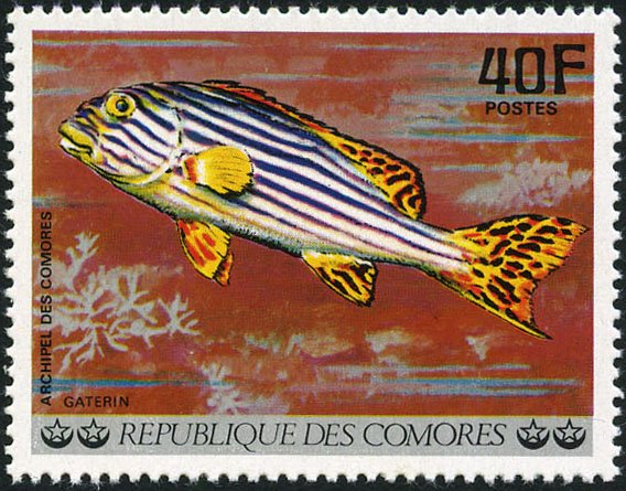 Stamp