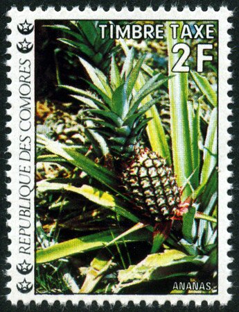 Stamp