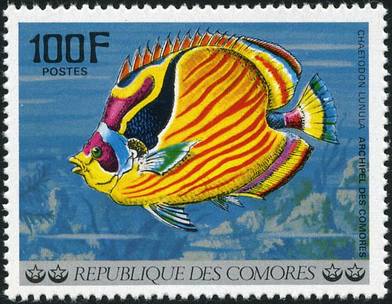 Stamp