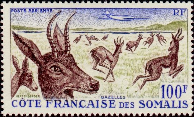 The East African Gazelles