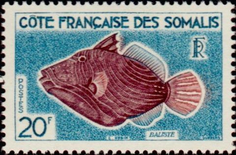 Orange-lined Triggerfish (Balistabus undulatus)
