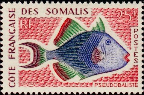 Yellowmargin Triggerfish (Pseudobalistes flavimarginatus)