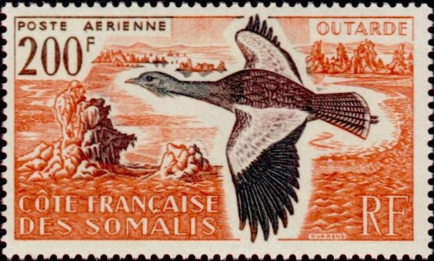 The Arabian Bustard and Lake Abbe