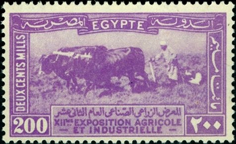 XIIth Agricultural and Industrial Exhibition in Cairo - 200 millieme