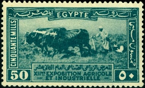 XIIth Agricultural and Industrial Exhibition in Cairo - 50 millieme