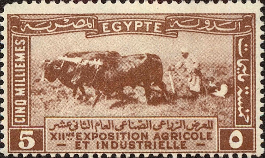 XIIth Agricultural and Industrial Exhibition in Cairo - 5 millieme