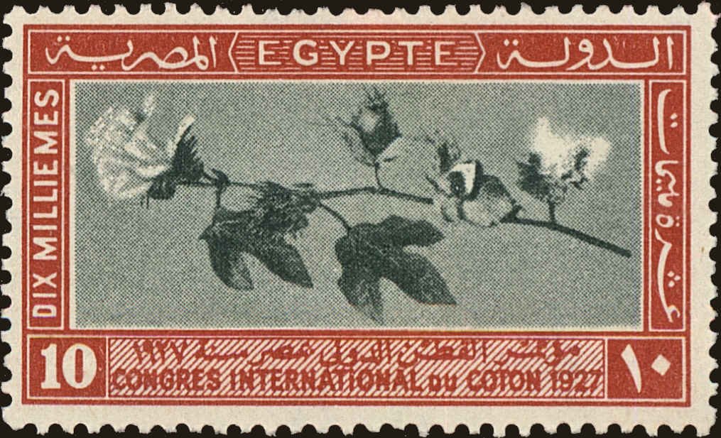 International Cotton Congress in Cairo - 10 millieme