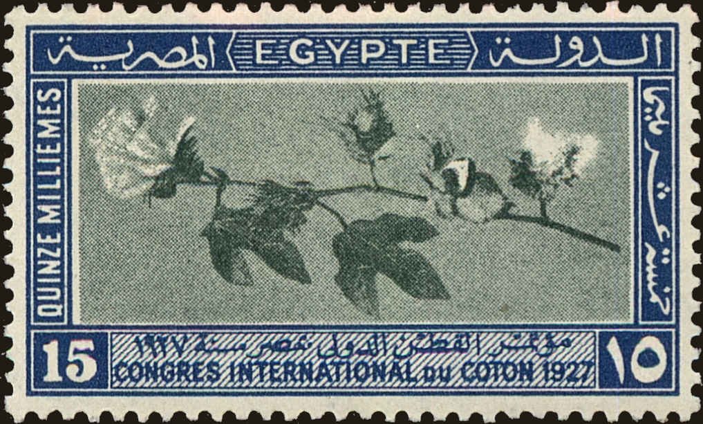 International Cotton Congress in Cairo - 15 millieme
