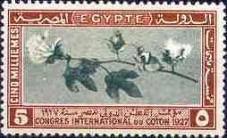 International Cotton Congress in Cairo - 5 millieme