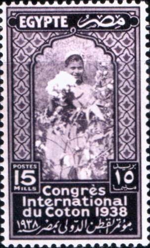 International Cotton Congress - 15 millieme