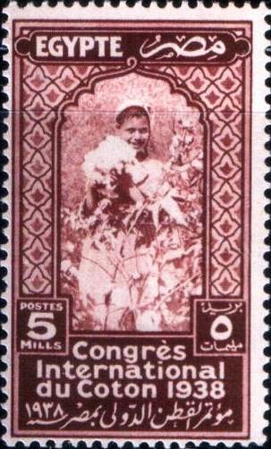 International Cotton Congress - 5 millieme