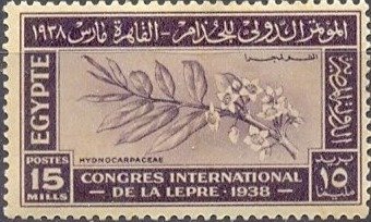 International Leprosy Congress - 15 millieme