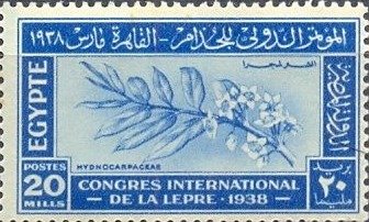 International Leprosy Congress - 20 millieme