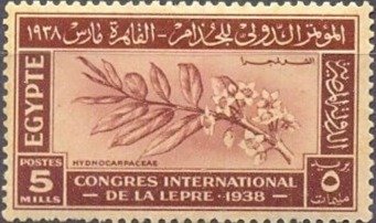 International Leprosy Congress - 5 millieme