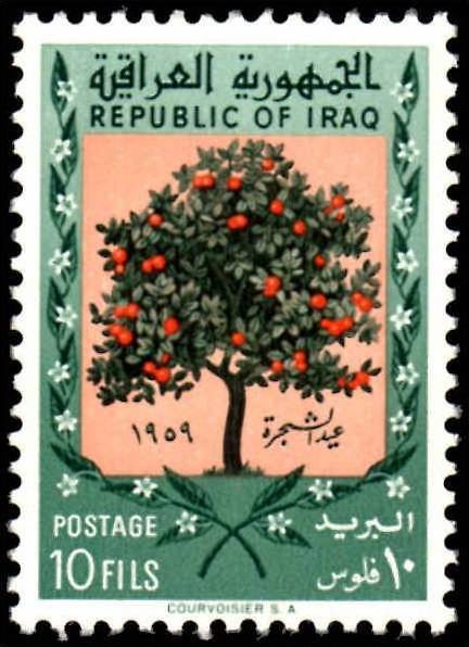 Day of the Tree - 10 fils