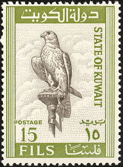 Saker Falcon (Falco cherrug) - 15 fils