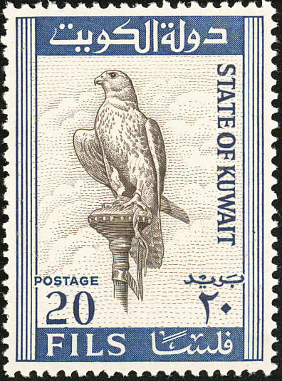 Saker Falcon (Falco cherrug) - 20 fils