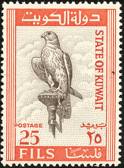 Saker Falcon (Falco cherrug) - 25 fils