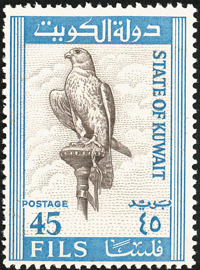 Saker Falcon (Falco cherrug) - 45 fils