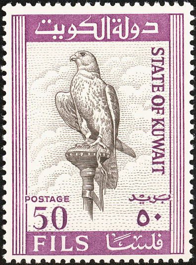 Saker Falcon (Falco cherrug) - 50 fils