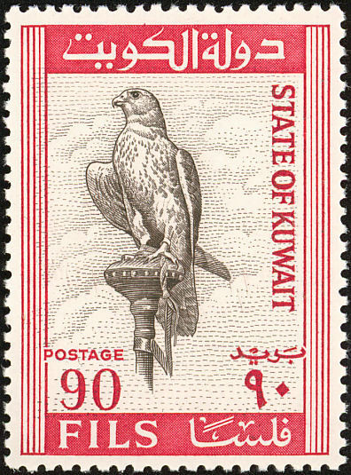 Saker Falcon (Falco cherrug) - 90 fils