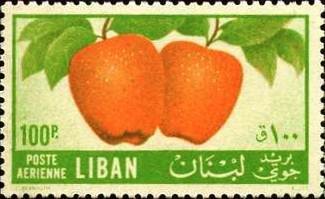 Apple cultivation - 100 piastre