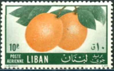 Citrus cultivation - 10 piastre