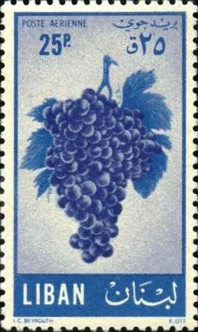 Viticulture and grape production - 25 piastre