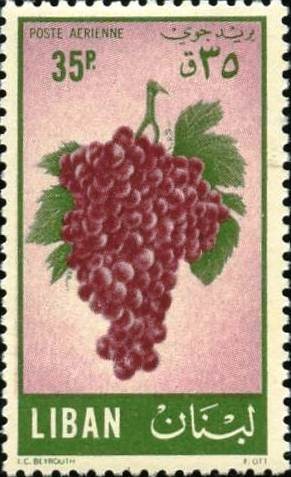 Viticulture and grape production - 35 piastre