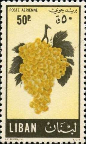 Viticulture and grape production - 50 piastre