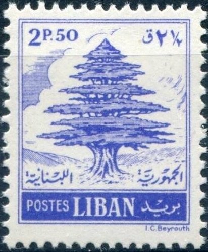 Cedar of Lebanon - 2.5 piastre
