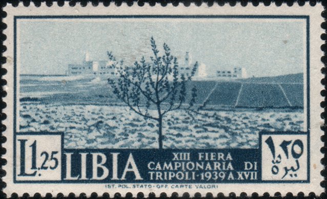 13th Tripoli International Fair - 1.25 lira