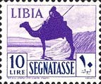 Camel and Rider - 10 Lira