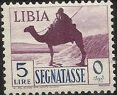 Camel and Rider - 5 Lira