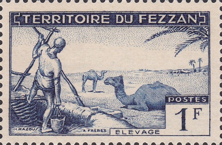 Camel Breeding -  1 franc