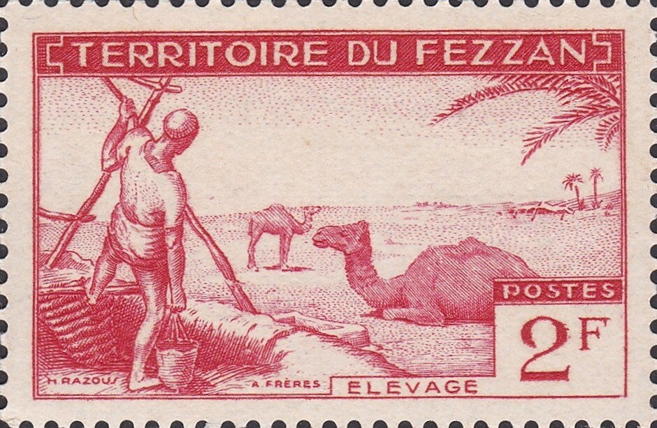 Camel Breeding -  2 franc