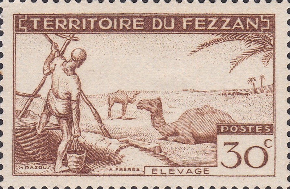 Camel Breeding -  30 centime