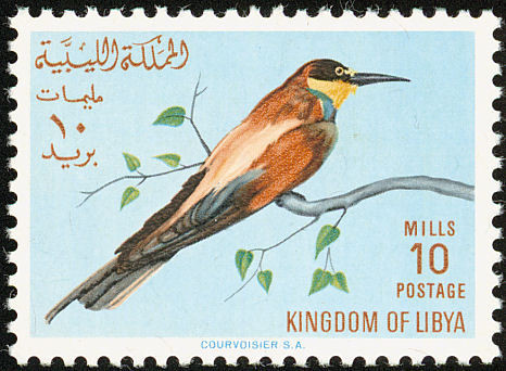 Stamp