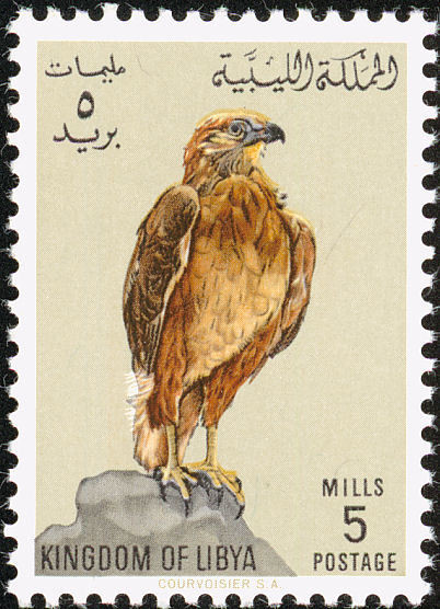 Stamp