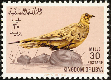 Stamp