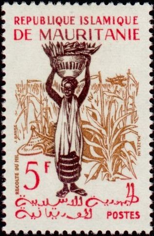 Millet Harvesting
