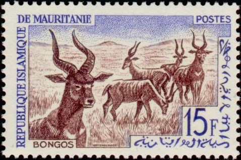 Antelopes