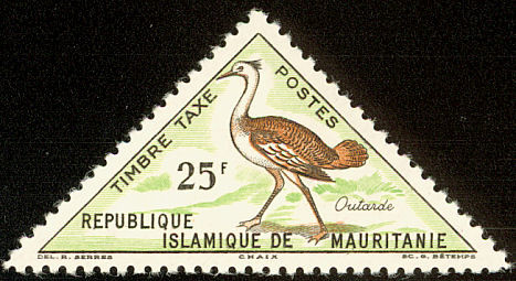 Arabian Bustard (Ardeotis arabs)
