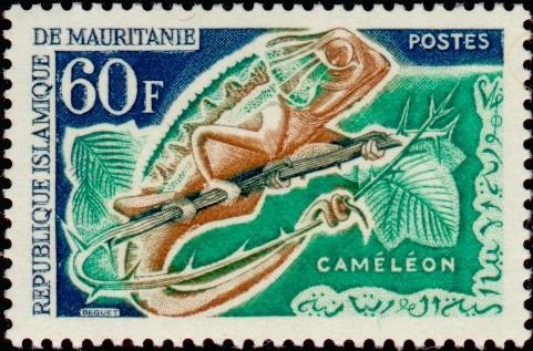Chameleon