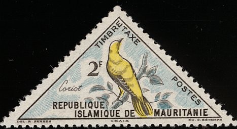 Eurasian Golden Oriole