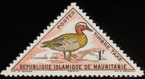 Garganey (Spatula querquedula)